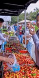 Farmers Market with tomatoes, vendor and customer